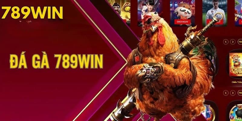 Bí quyết tham gia đá gà 789win hiệu quả