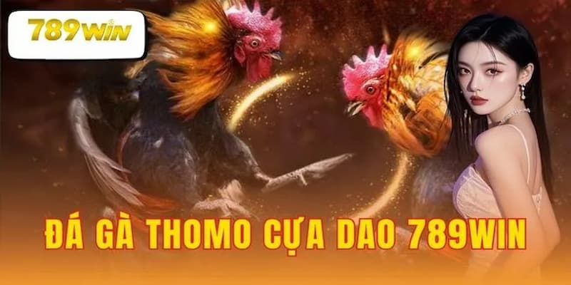 Sức hút đặc biệt của đá gà cựa dao 789win