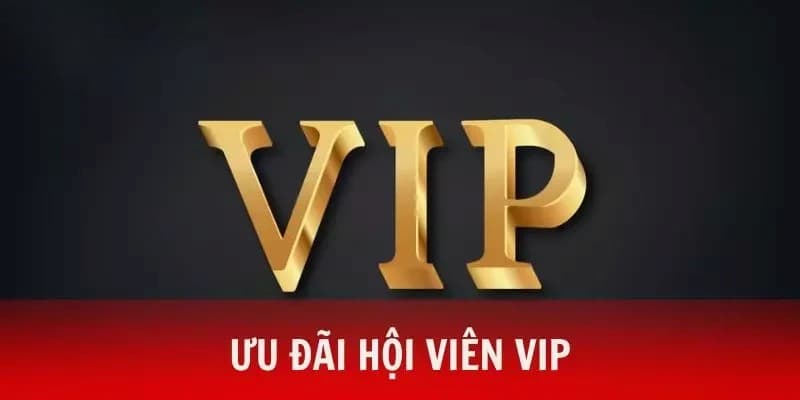 Trải nghiệm các sản phẩm cược dành riêng cho VIP 789win